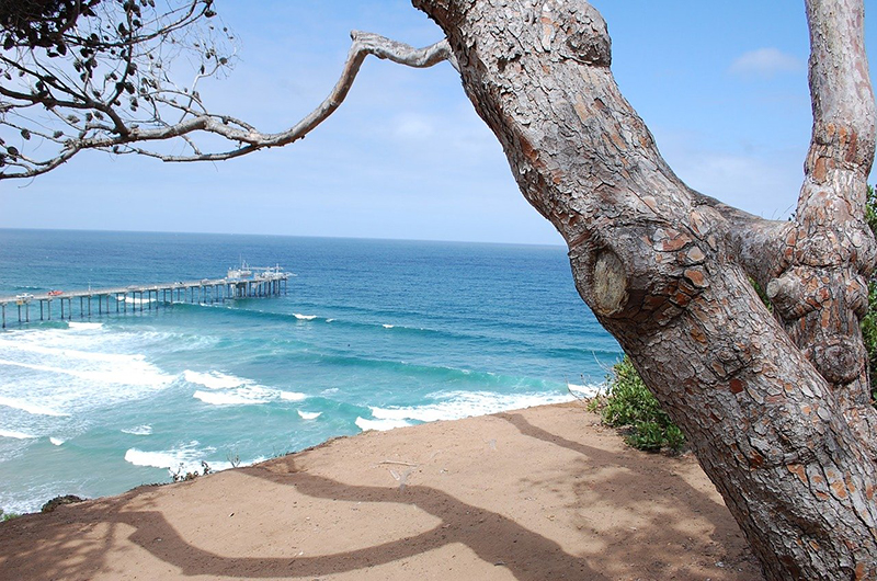 Clima en cheap san diego