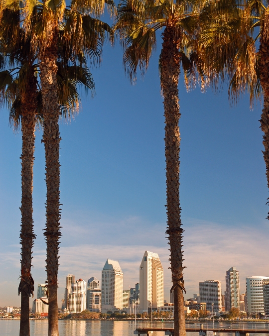 San Diego 