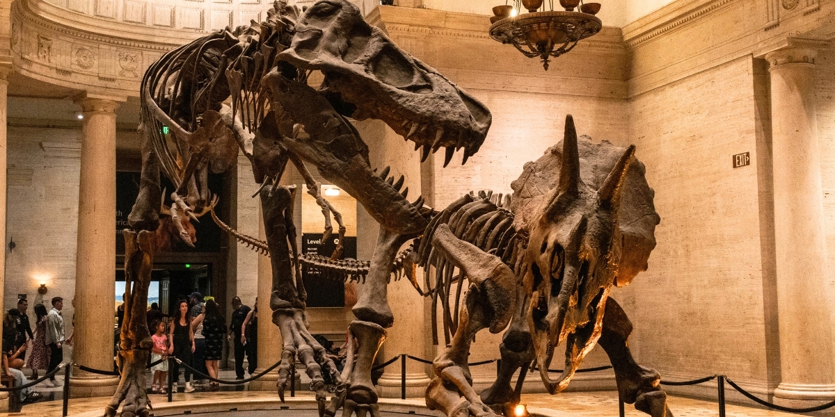 Natural History Museum Of Los Angeles County Map