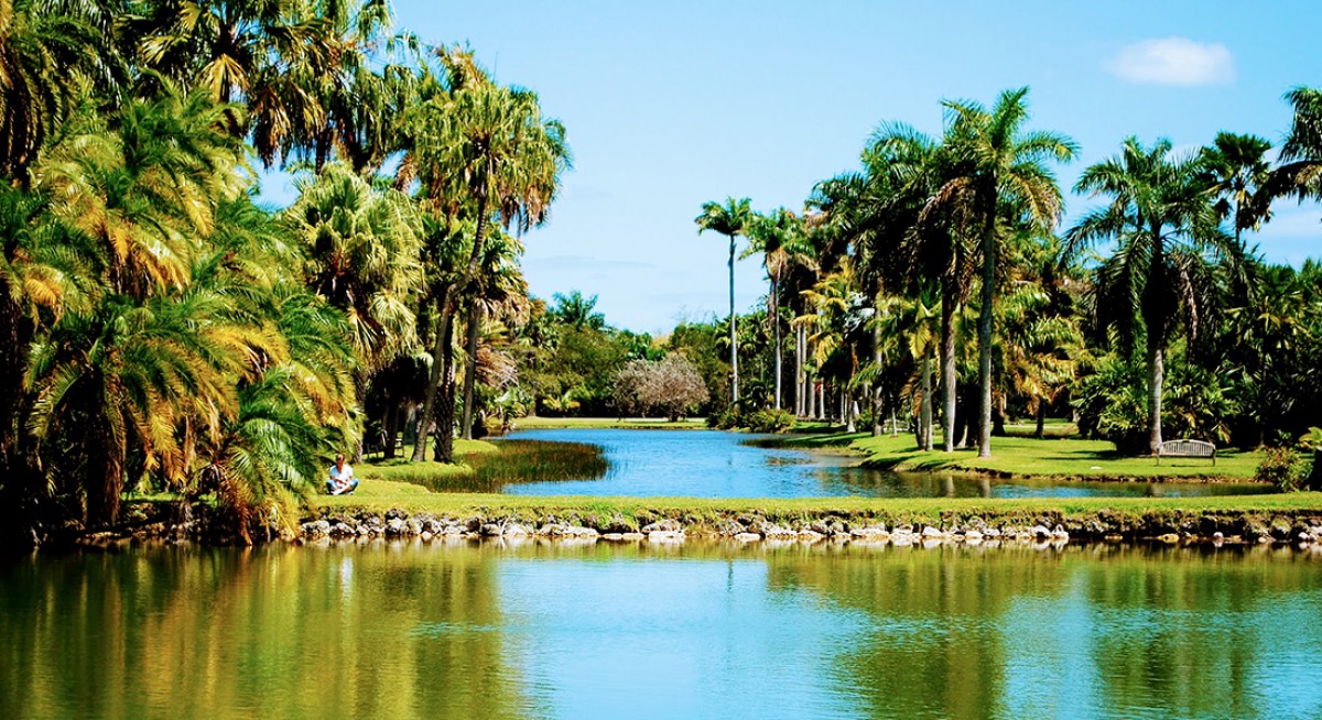 Miami Botanical Gardens Fairchild | Complete Info